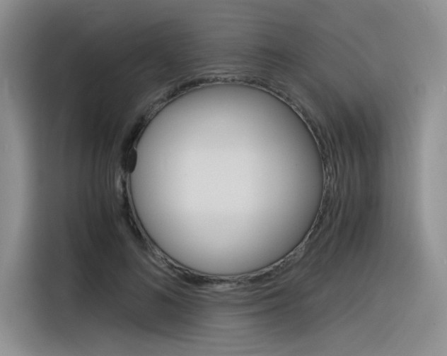 X0000116390692200912021006