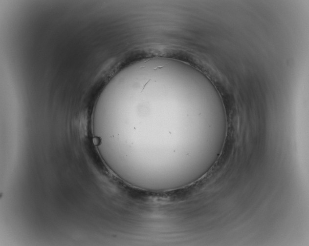 X0000116390694200912021006