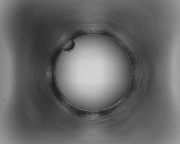 X0000116390695200912021006