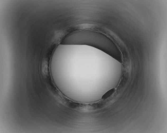 X0000116390696200912021006