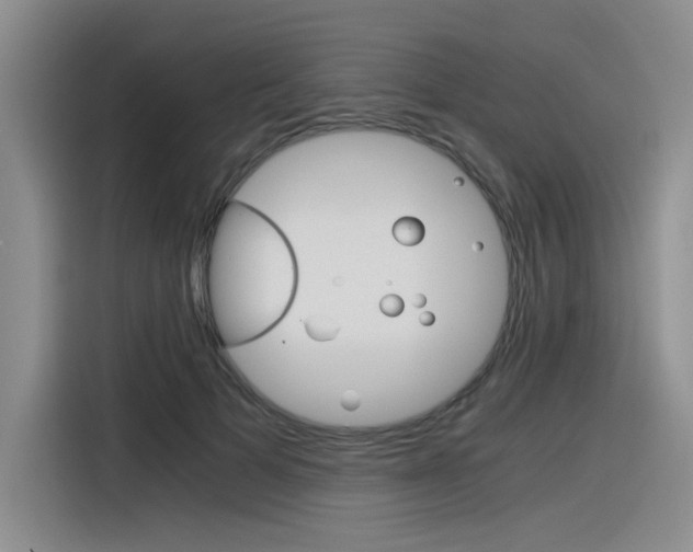 X0000116390697200912021006