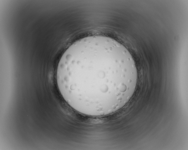 X0000116390698200912021006