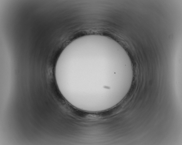 X0000116390699200912021006