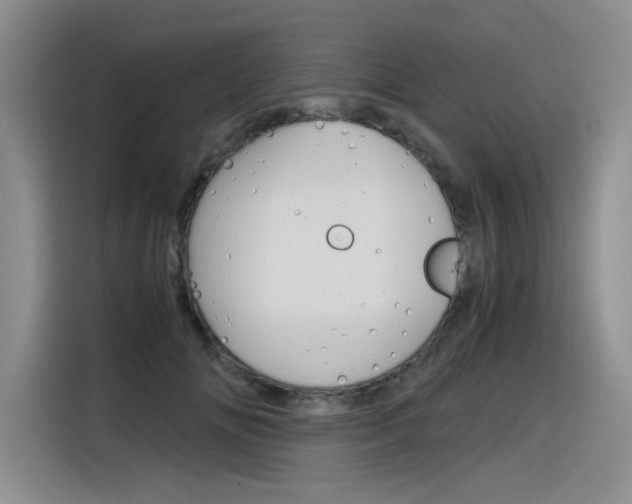 X0000116390702200912021006