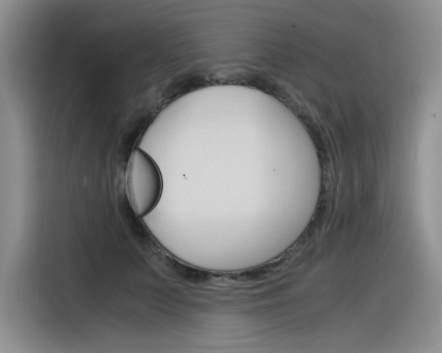 X0000116390703200912021006