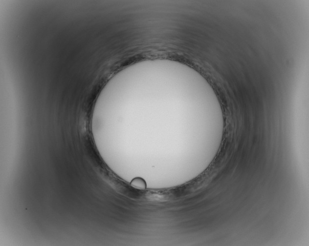 X0000116390706200912021006