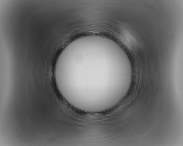 X0000116390707200912021006