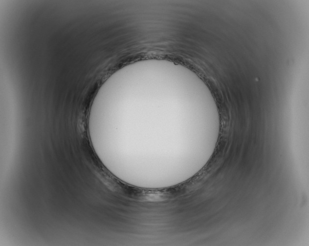 X0000116390710200912021006