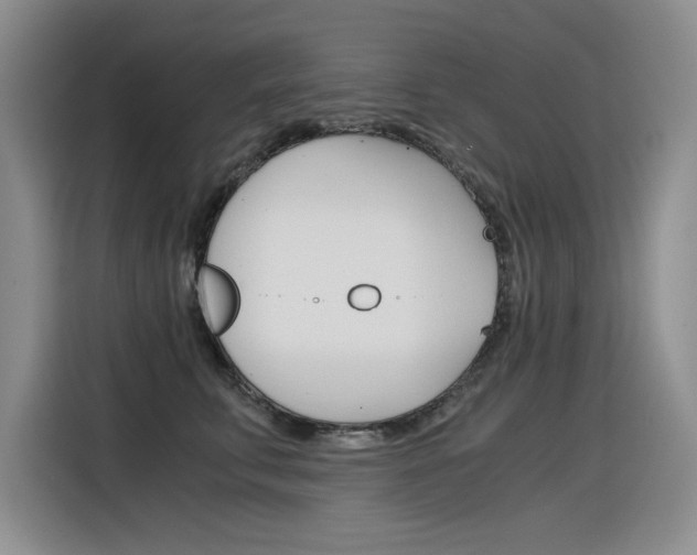 X0000116390711200912021006