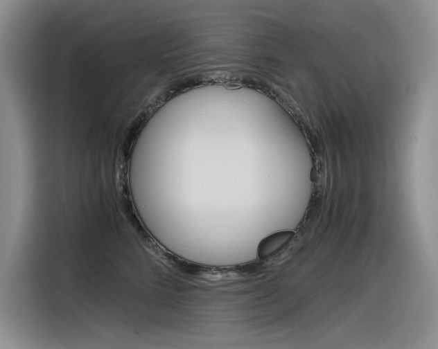 X0000116390712200912021006