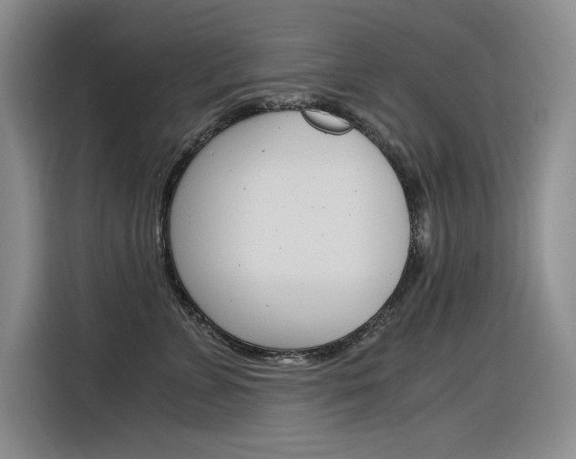 X0000116390715200912021006