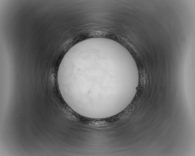 X0000116390716200912021006