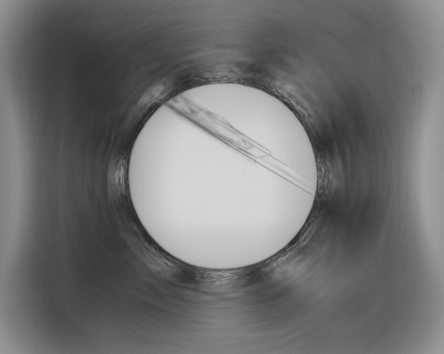 X0000116390717200912021006