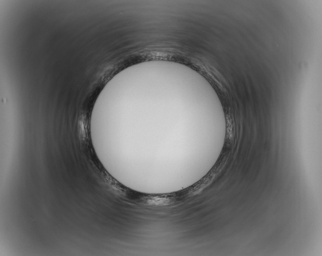 X0000116390718200912021006