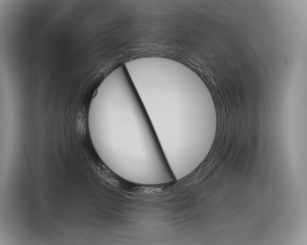 X0000116390719200912021006