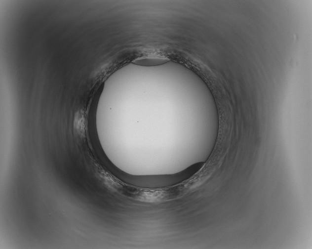 X0000116390720200912021006