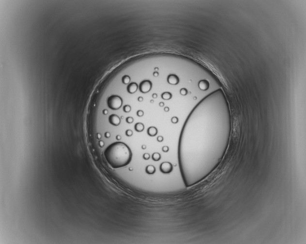 X0000116390722200912021005