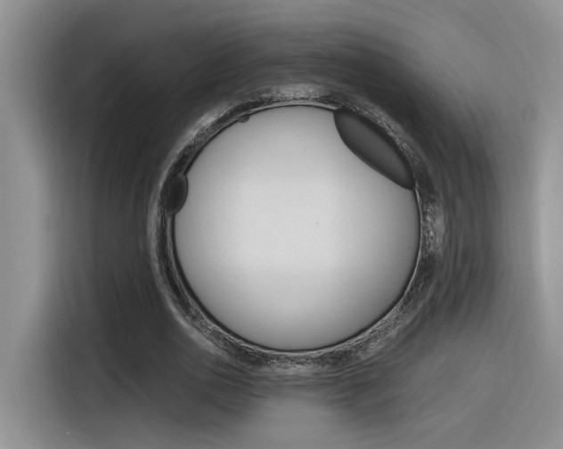 X0000116390726200912021005