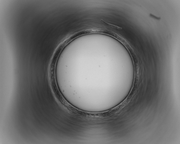 X0000116390730200912021005