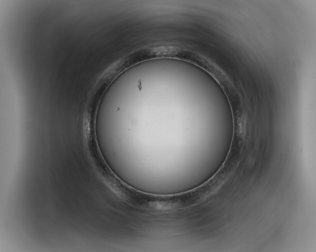 X0000116390733200912021005