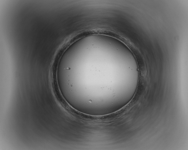 X0000116390734200912021005