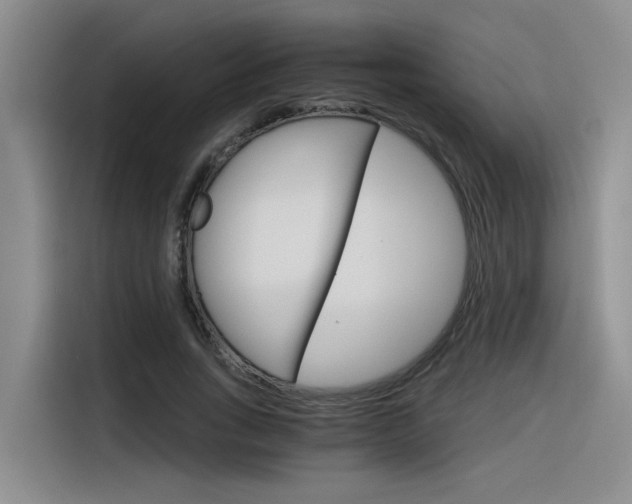 X0000116390735200912021005