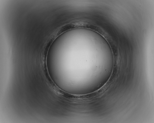 X0000116390737200912021005
