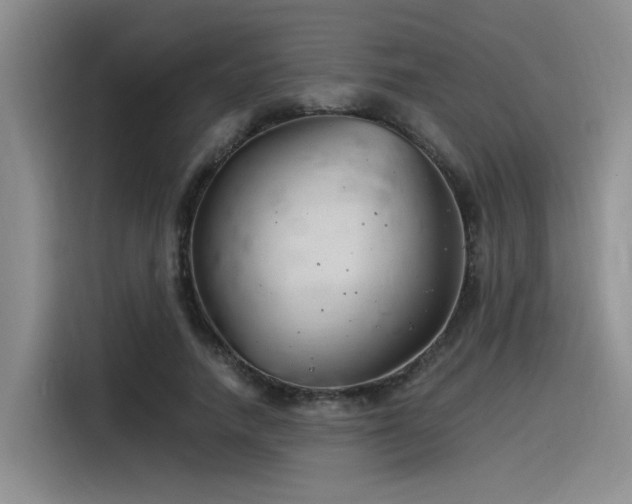 X0000116390738200912021005