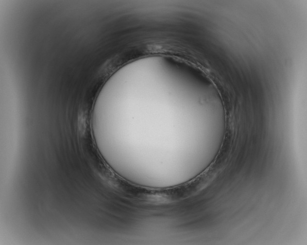 X0000116390741200912021005