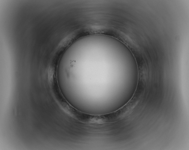 X0000116390742200912021005