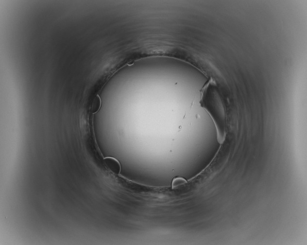 X0000116390743200912021005