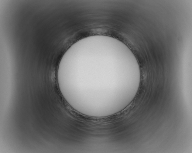 X0000116390745200912021005