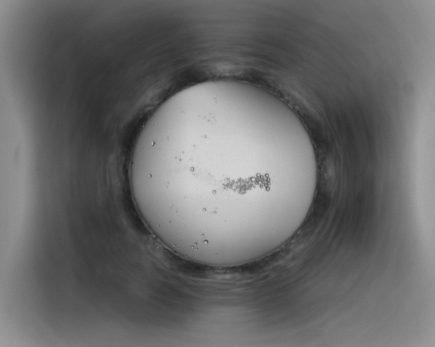 X0000116390746200912021005