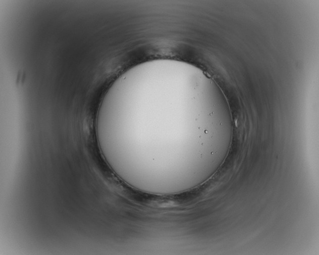 X0000116390747200912021005