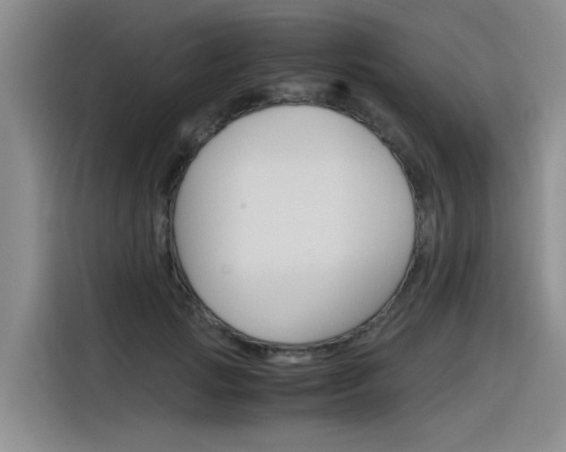 X0000116390749200912021006