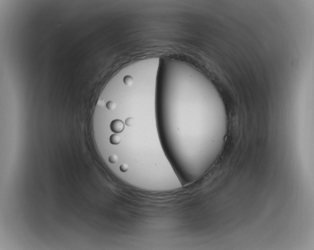 X0000116390750200912021006