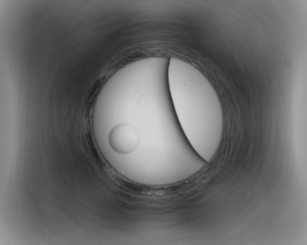 X0000116390751200912021006