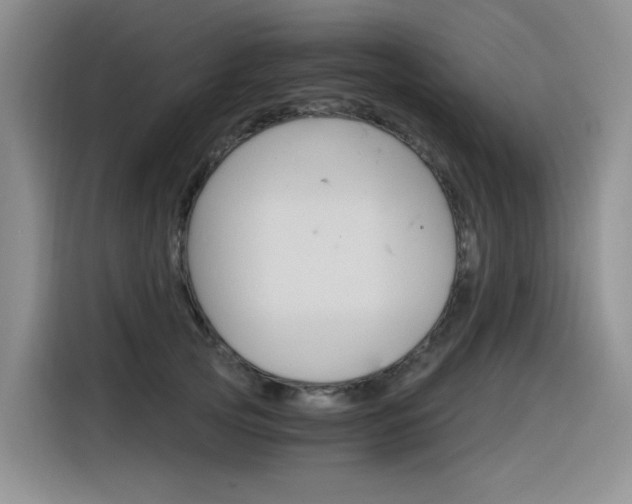 X0000116390753200912021006