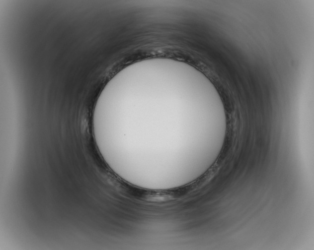 X0000116390754200912021006