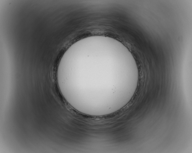 X0000116390755200912021006