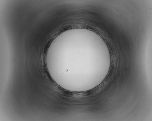 X0000116390757200912021006