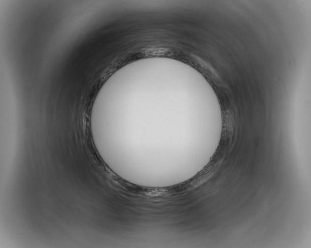 X0000116390761200912021006