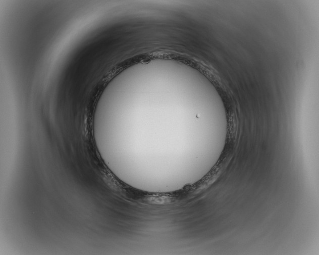 X0000116390762200912021006