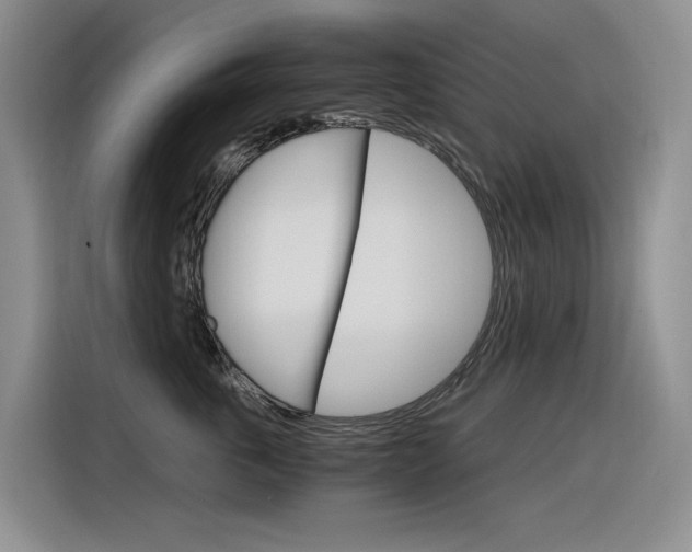 X0000116390763200912021006