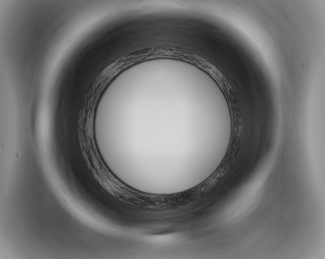X0000116390765200912021006