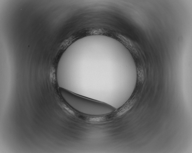X0000116390766200912021006