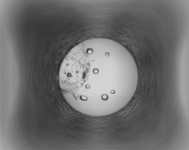 X0000116390769200912021005