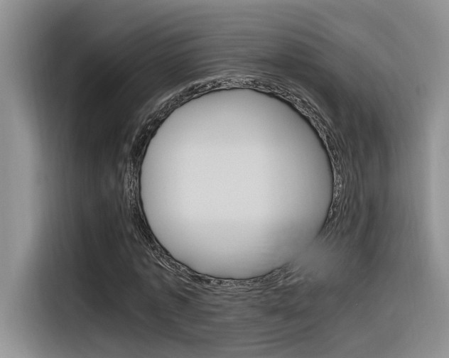 X0000116390773200912021005