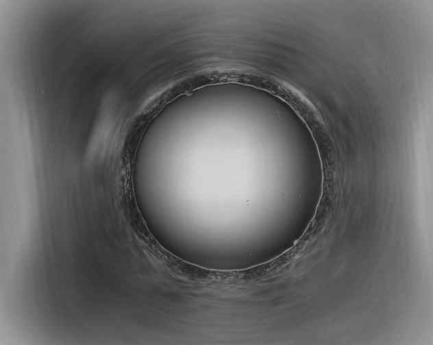 X0000116390775200912021005