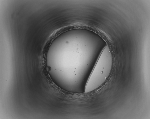 X0000116390776200912021005